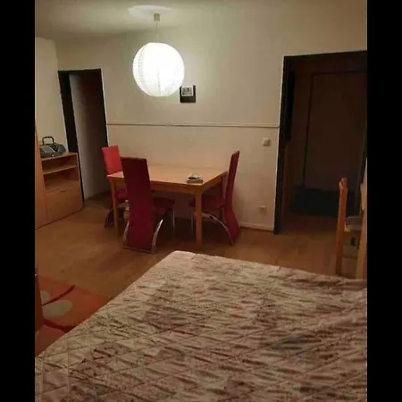 Ferienwohnung Geyersberg דירה פרייאונג